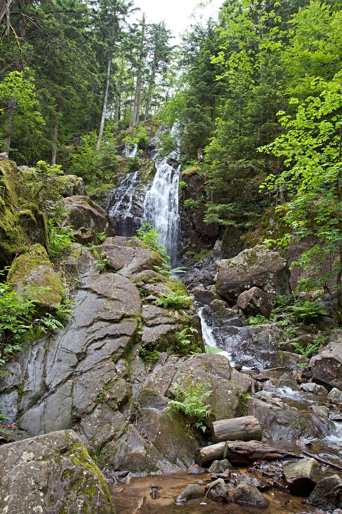vogezen ardennen belgie frankrijk luxenburg luxembourg france belgique hdr natuur natuurgebied gebergte bergen bos bossen